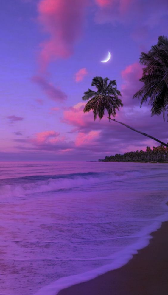 the moon is setting over the ocean and palm trees