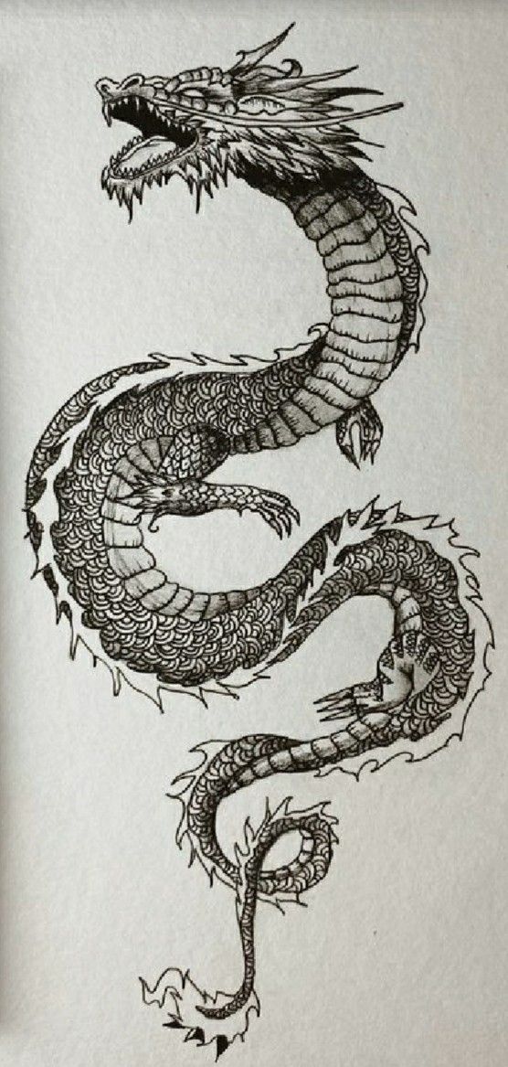 an ink drawing of a dragon on paper