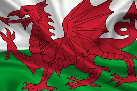 the flag of wales is flying in the wind with an intricate dragon on it's chest