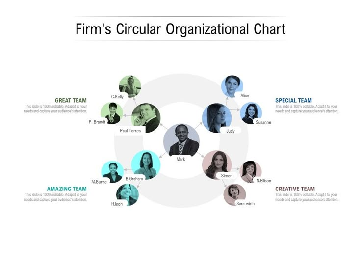 a circular diagram with several people in different colors and sizes, including the words firm's circular organizational chart