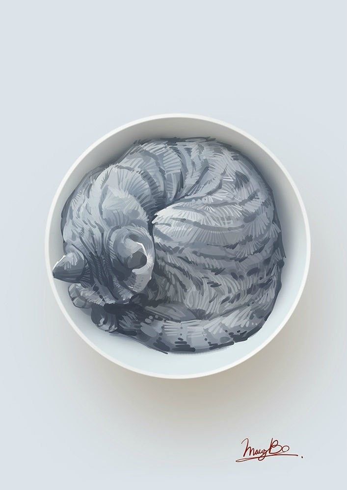 a drawing of a cat curled up in a bowl