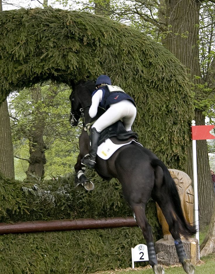 a person riding on the back of a horse jumping over an obstacle in front of trees