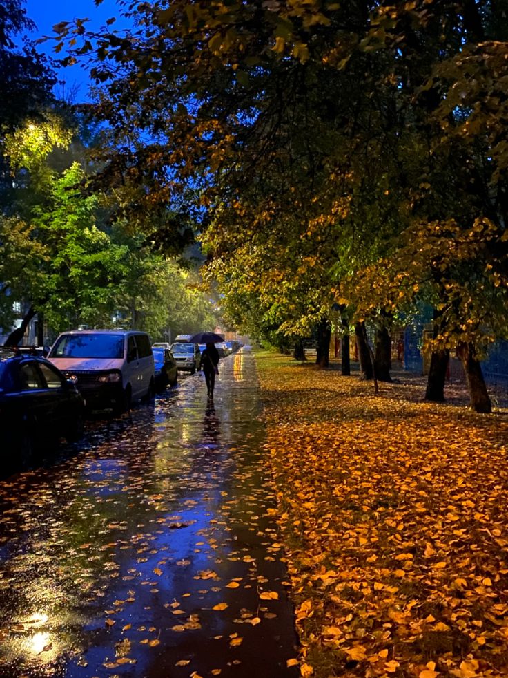 people are walking down the street in the rain