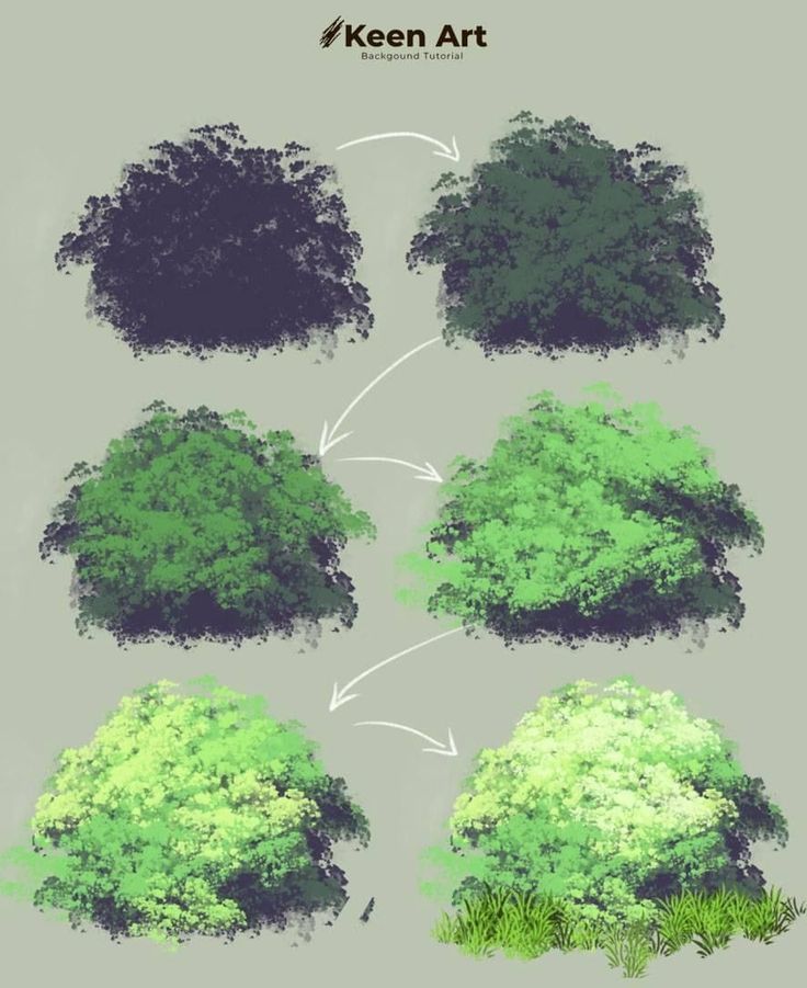 the different stages of drawing trees in photoshopped and colored pencils on paper