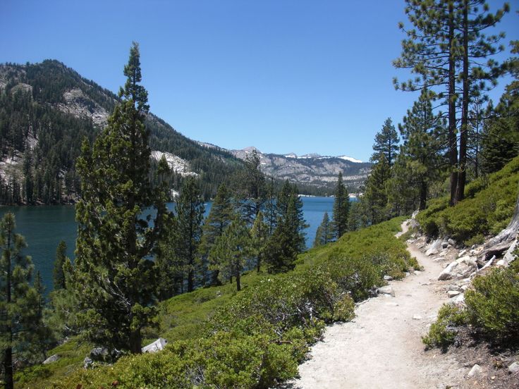 a trail winds through the woods towards a lake