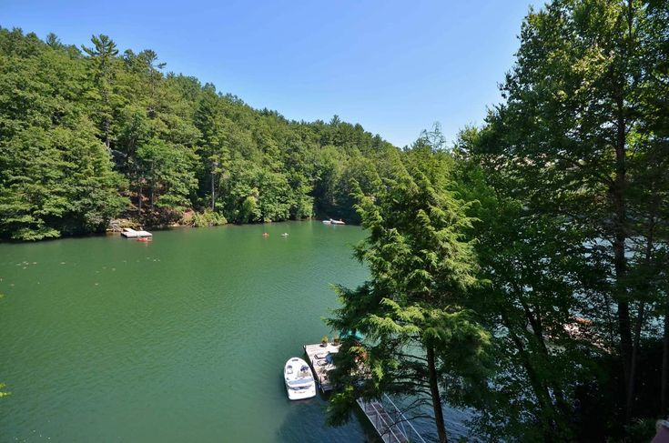 two boats in the water near some trees