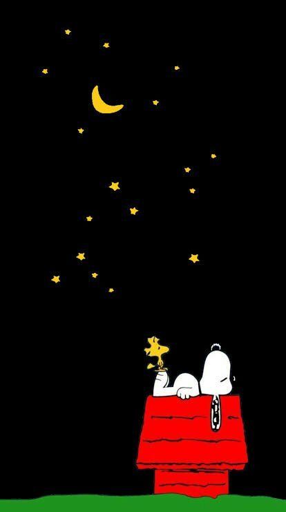 snoopy is sleeping on the roof of his house at night with stars in the sky