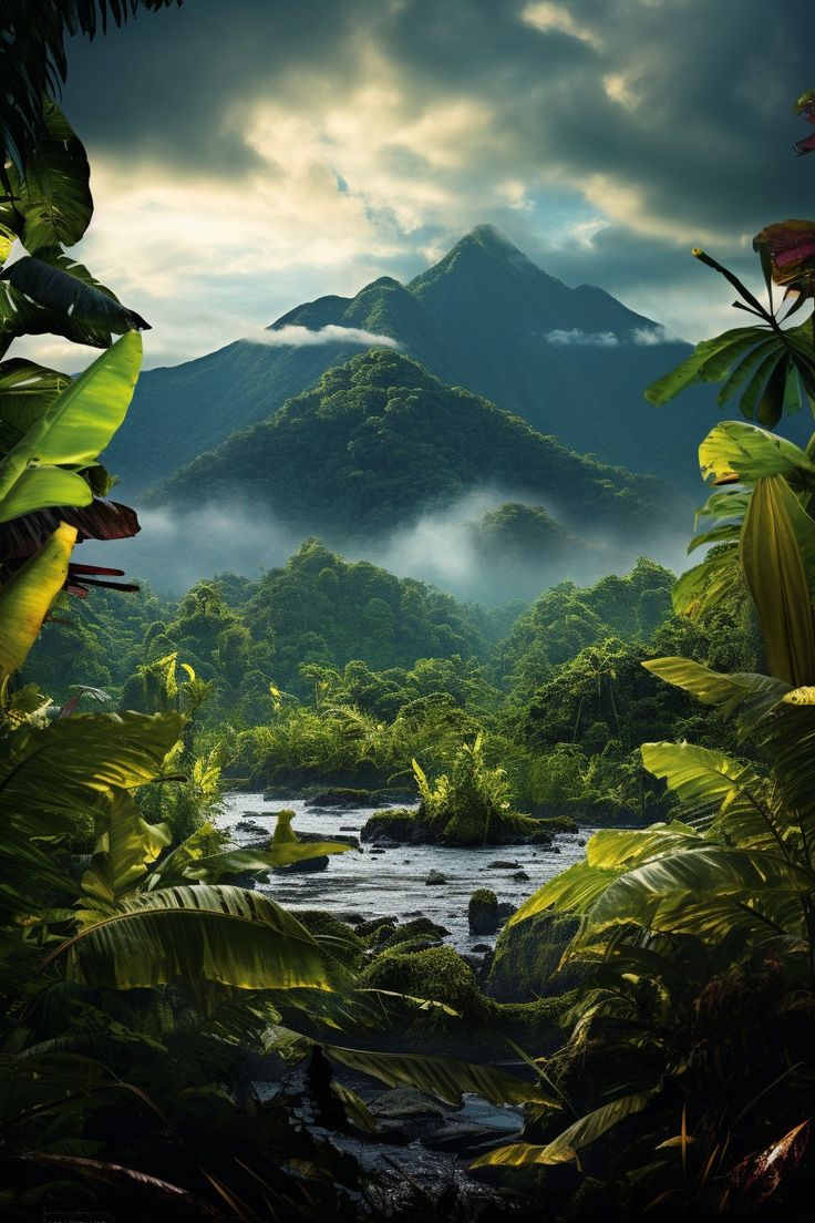 the jungle is full of green plants and mountains