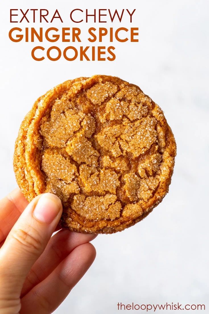 a hand holding an extra chewy ginger spice cookie in front of a white background