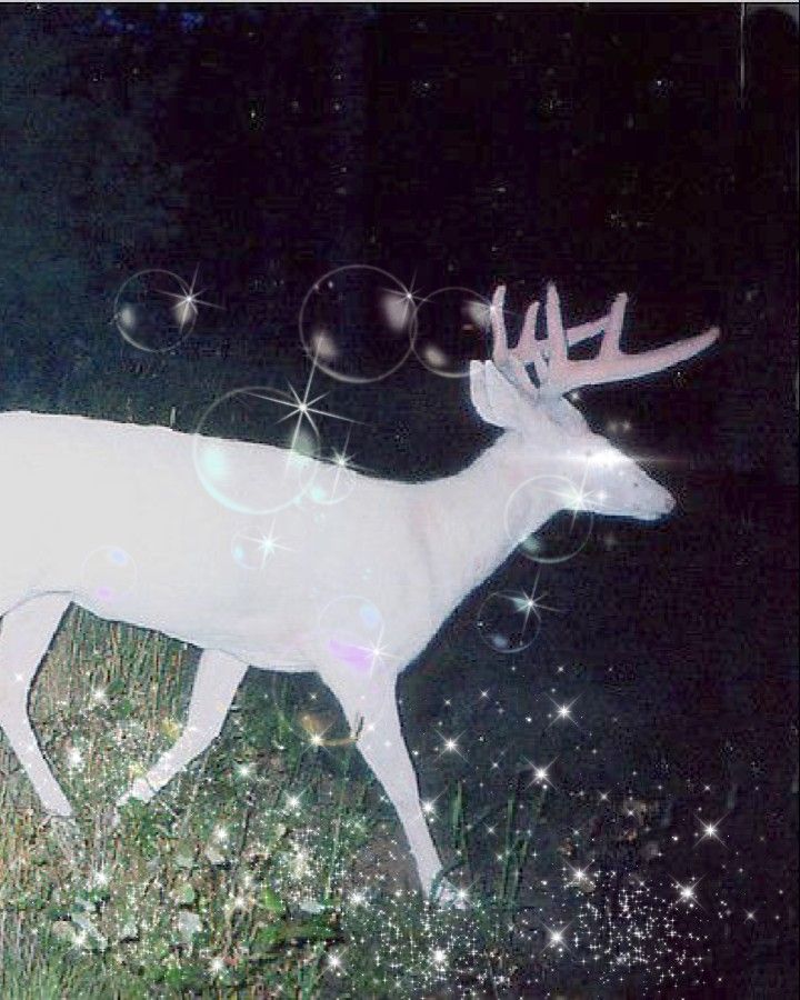 a white deer standing in the grass with bubbles floating around it's antlers