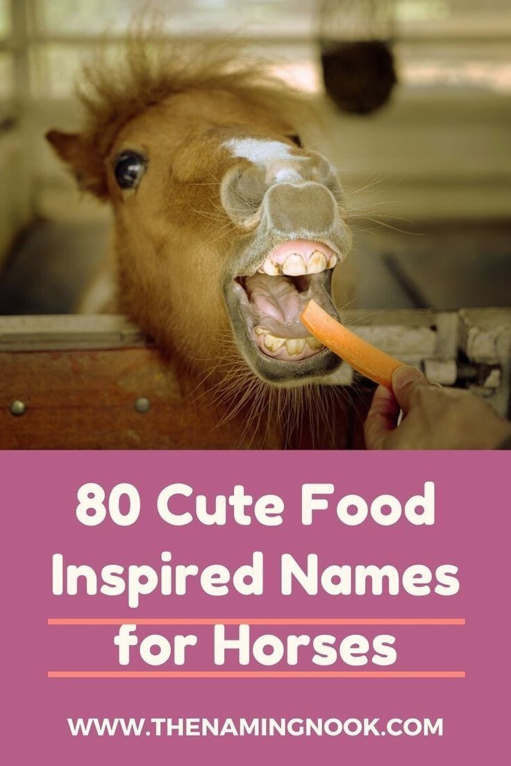 a brown horse with its mouth open and carrot in it's mouth that says, 80 cute food inspired names for horses