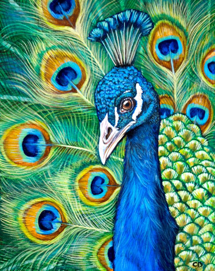 a painting of a peacock with feathers on it's back