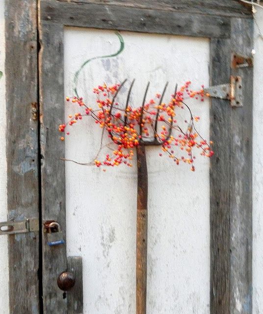 an old door with a plant growing out of it and some rusted metal handles