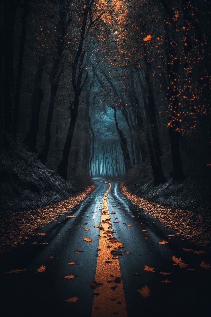 an empty road surrounded by trees with leaves on the ground