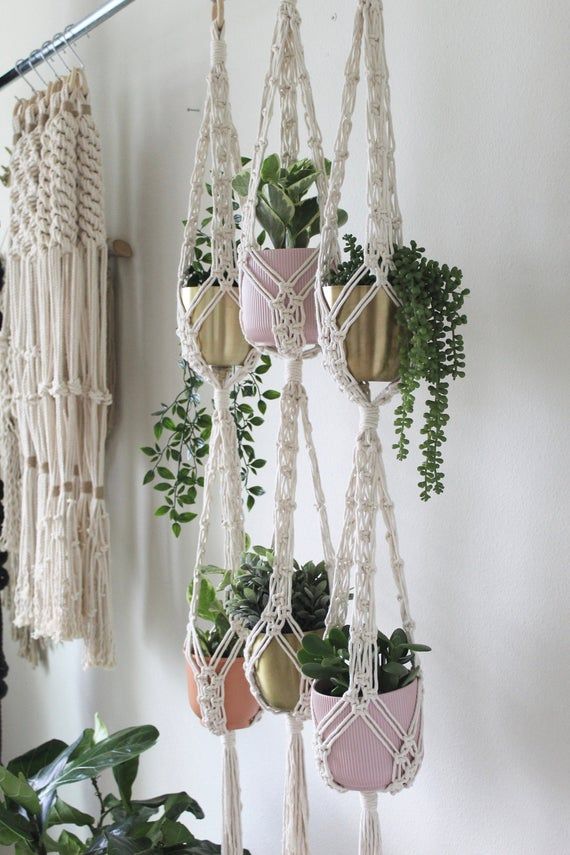 macrame plant hangers with potted plants in them