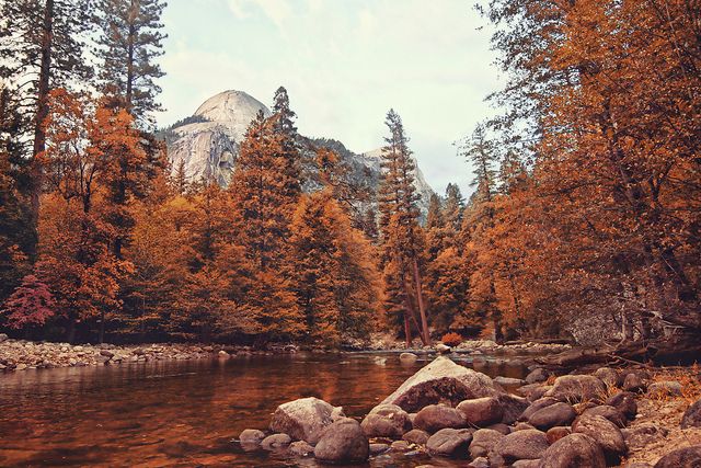 a river surrounded by trees and rocks in front of a mountain covered with fall foliage