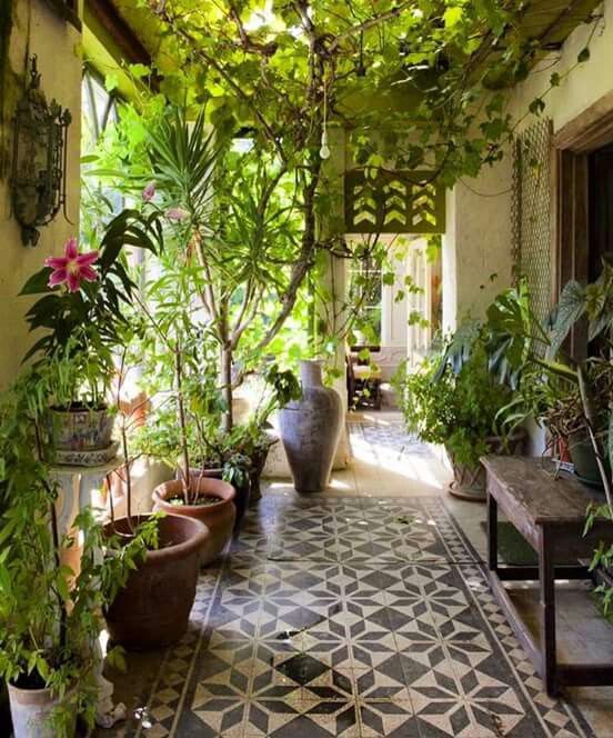 an outdoor patio with potted plants and hanging umbrella over the entrance to the house