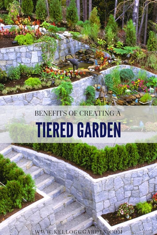 an outdoor garden with stone steps and plants in the middle, text reads tips and benefits for creating a tiered garden