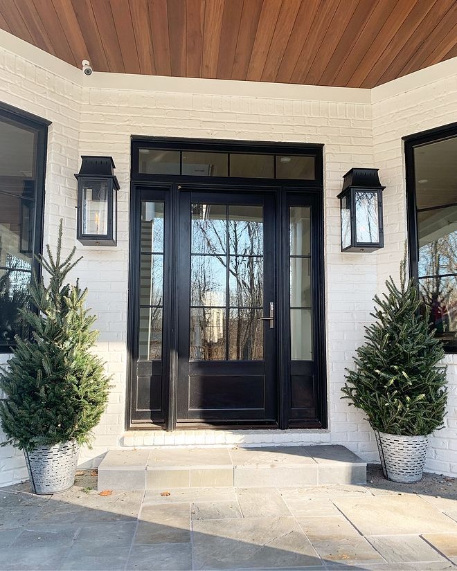 two potted plants are sitting in front of a black double door with sidelights