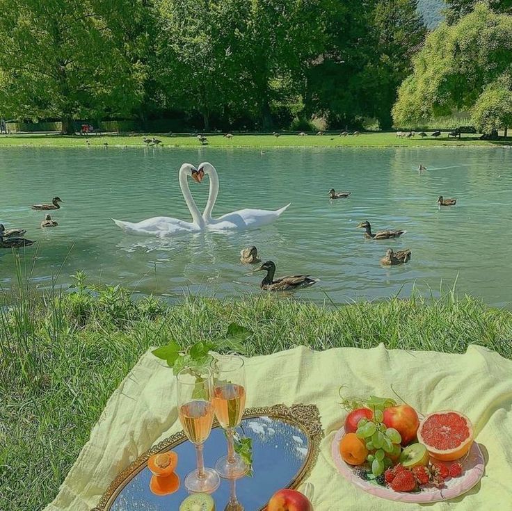 a couple of swans are swimming in the water with fruit on a tray next to them