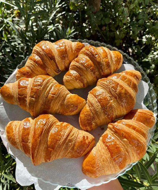 croissants on a white plate in front of some bushes