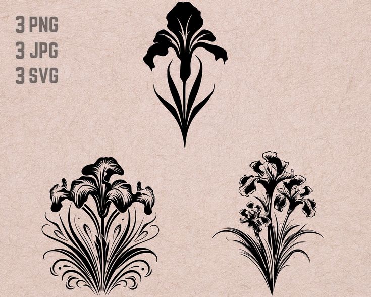 three flower designs in black and white on a piece of paper with the text 3 png 3 jpg 3 5vg