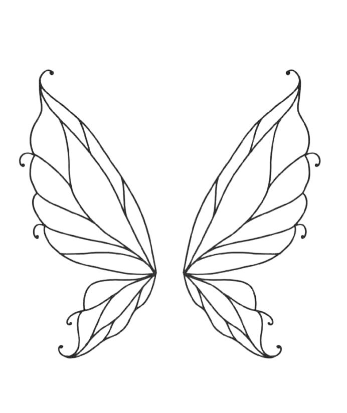 the outline of a butterfly's wings