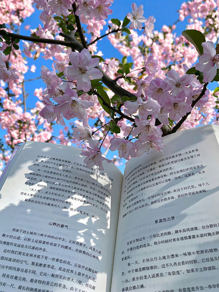 an open book sitting on top of a tree filled with pink flowers