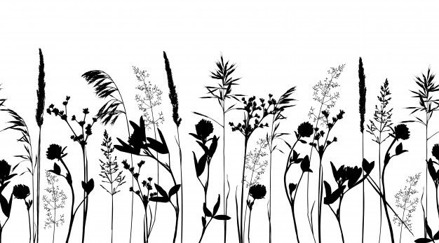 black and white silhouettes of wildflowers on a white background with space for text