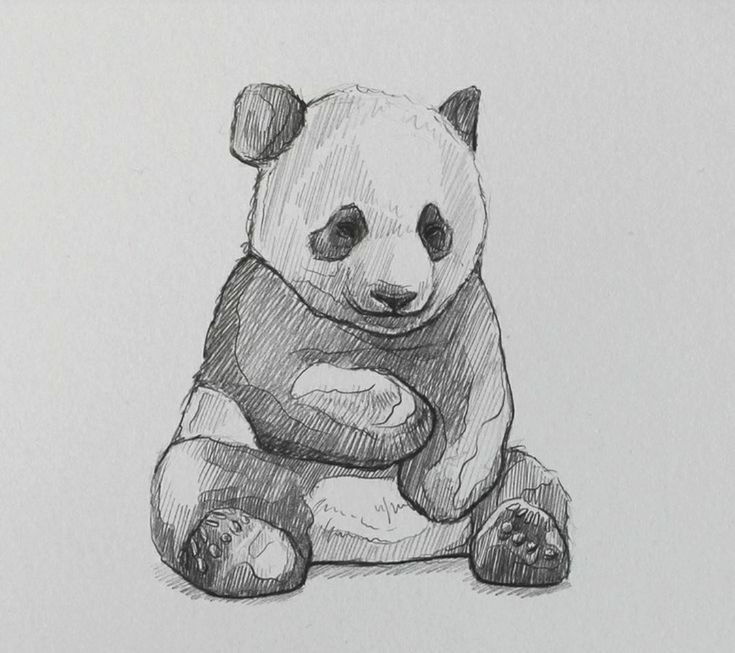 a drawing of a panda bear sitting on the ground with its arms crossed and eyes closed