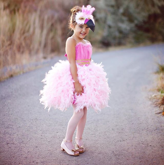 be a flamingo in a flock of pigeons // share your little' costume // Don't miss out on a special sale today only! Flamingo Halloween Costume, Flock Of Pigeons, Be A Flamingo, Flamingo Costume, Flamingo Dress, Bird Costume, Holiday Costumes, Toddler Costumes, Cute Costumes