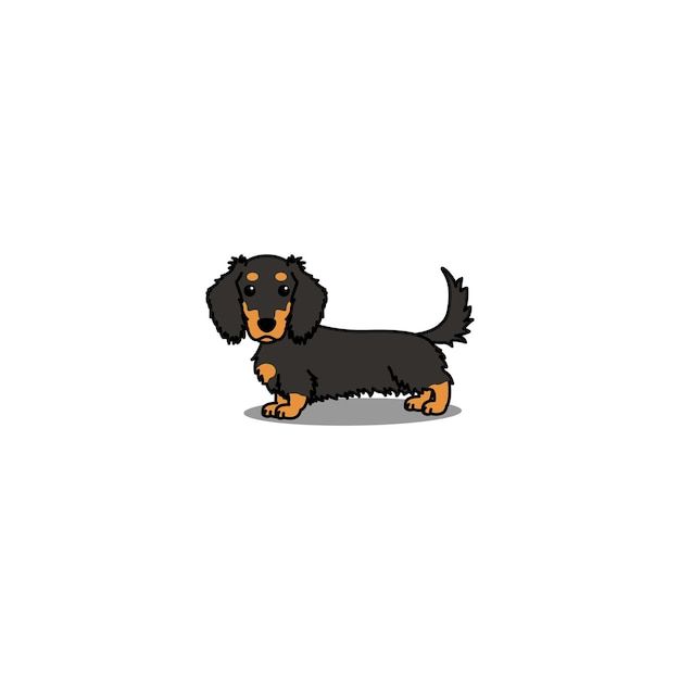 a black and brown dachshund puppy standing on its hind legs