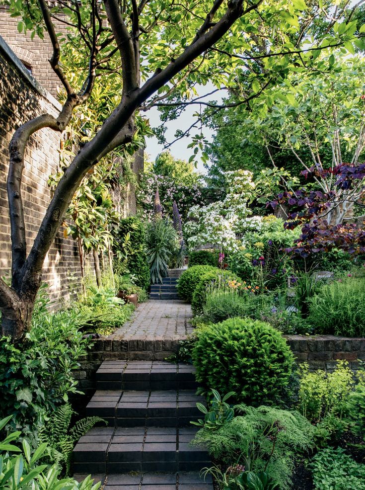 an image of a garden with steps leading up to trees and bushes in the foreground