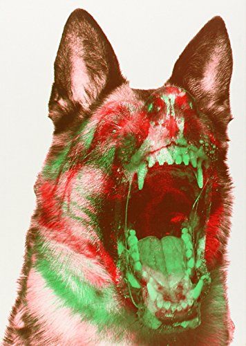 a dog has its mouth open and is lit up with red, green and white lights