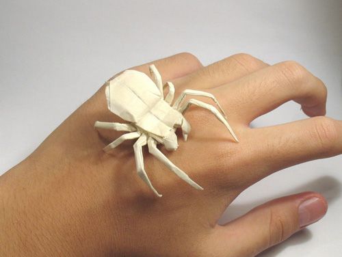 a person's hand with a white spider ring on it, and the fingers are folded up