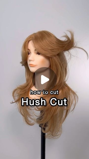 Hush Long Haircut, Haircut Idea For Thick Hair, Layer Haircut For Thick Hair, The Hush Cut Long, Shag Hairstyles Long Thick Hair, Long Layer Cut Hair, Long Layered Haircuts Shag, Curtain Layers Hair, Hushcut Haircut Long Hair