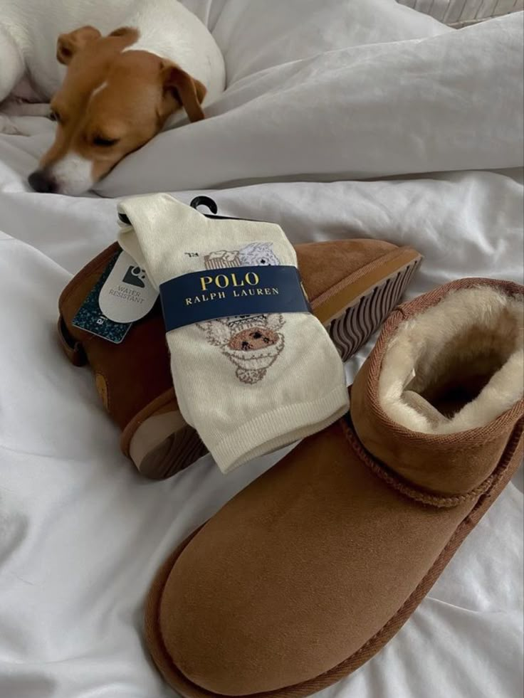 A cute dog is sitting on a bed and a girls taking a picture of a pair of ankle boots UGGs and polo socks Ralph Lauren Socks Ugg, Ralph Lauren Socks, Vanilla Girl, Swag Shoes, Fall Fits, Mode Inspo, Winter Fits, Winter Aesthetic, Autumn Aesthetic