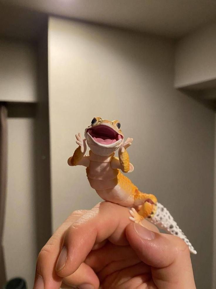 a person holding a small gecko up to the camera with it's mouth open