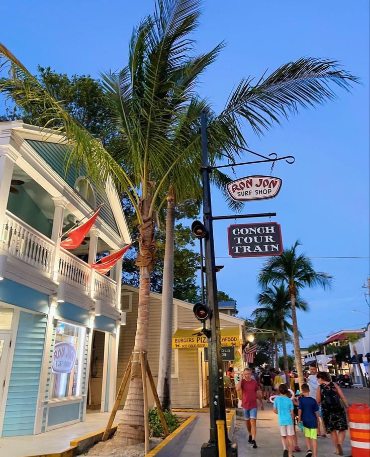 people walking on the sidewalk in front of shops and palm trees at dusk with blue sky