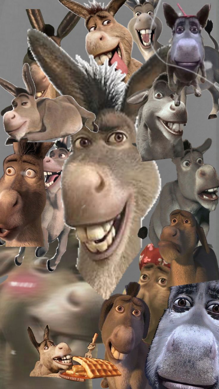 the donkey movie poster is shown with many different characters in it's head and shoulders