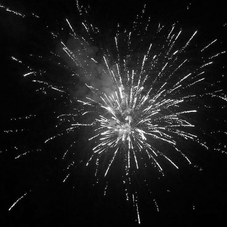 black and white fireworks in the night sky