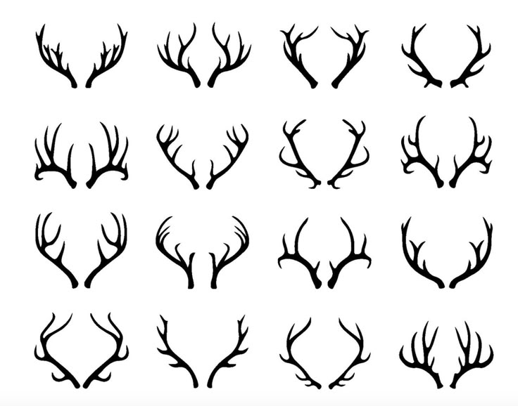 the silhouettes of deer's heads with antlers on them, set of six