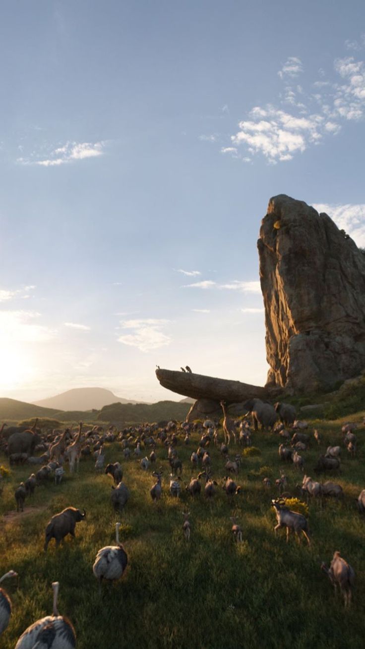 a large group of sheep grazing in the grass near a rock formation with a boat on it