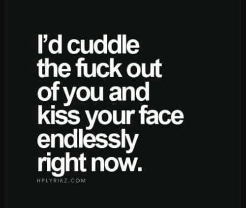 a quote that says i'd cuddle the f k out of you and kiss your face endlessly right now