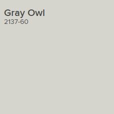 the gray owl is standing in front of a white wall with black lettering on it