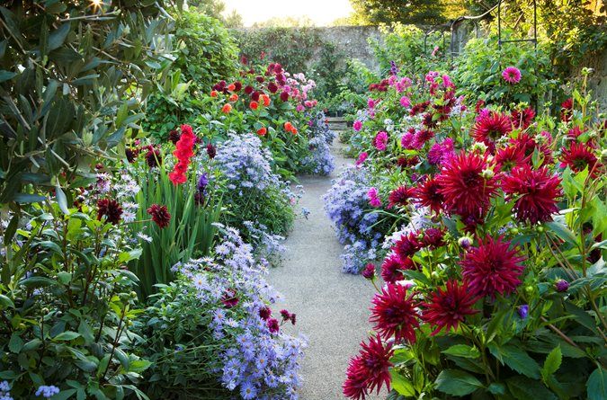 a garden filled with lots of colorful flowers