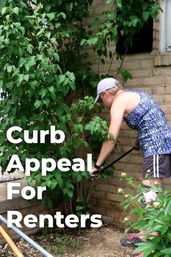 a woman is working in her garden with the words curb appeal for renters