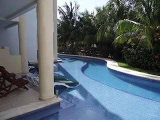 an empty swimming pool surrounded by palm trees