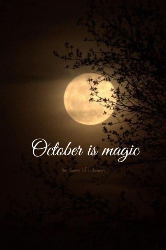 the moon is shining in the sky with an inscription on it that reads october is magic