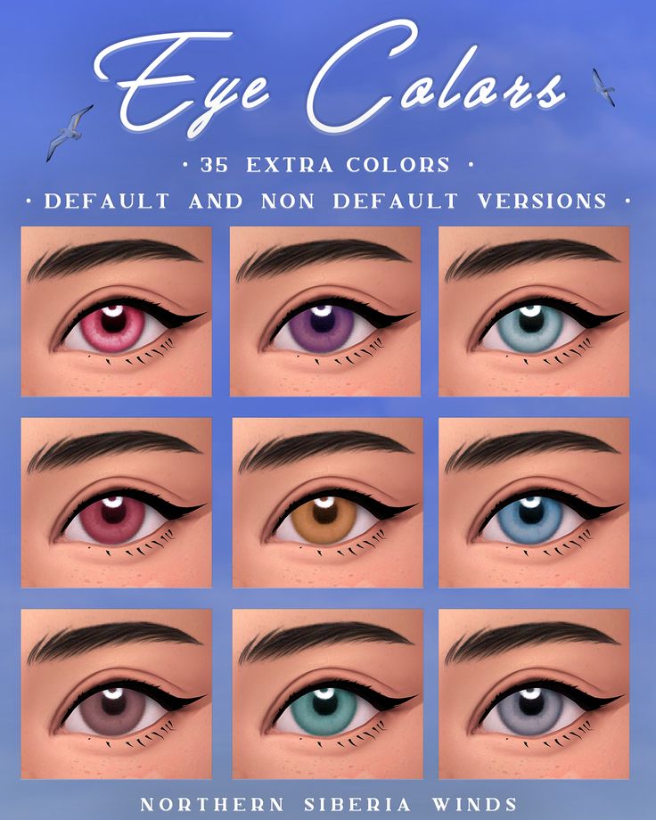 an image of different colored eyes for the game eye colors, which include blue and brown